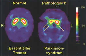 Diagnostik-Bild